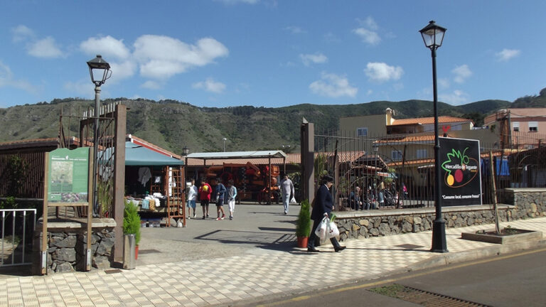 Mercadillo de Tegueste 3 768x432