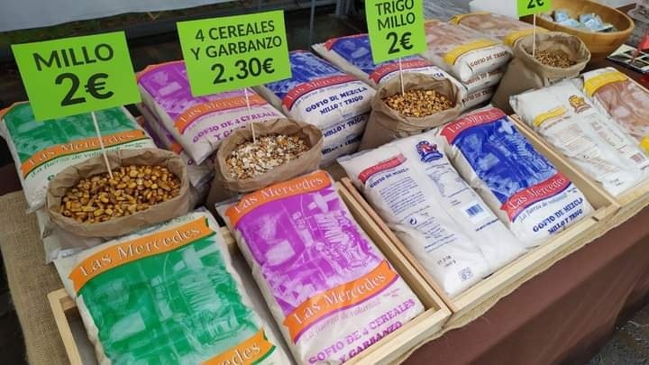 Molino Gofio Las Mercedes 2