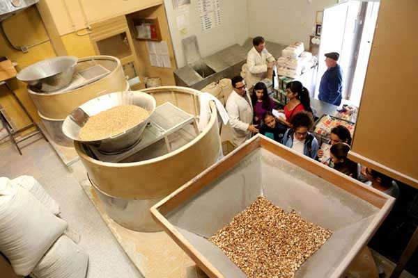 Molino de Gofio La Molineta 4