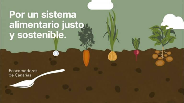 Ecocomedores 768x432