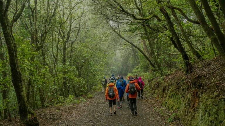 Ecotouristing 2 768x432